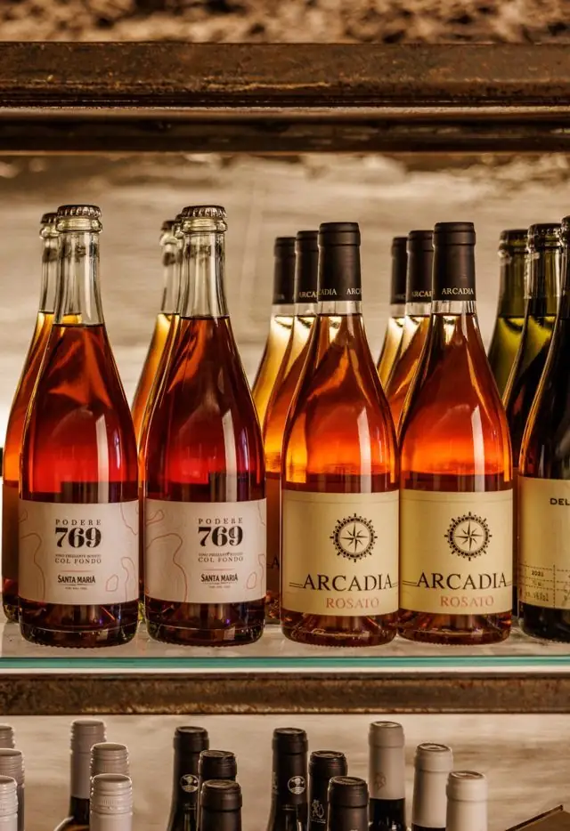 Le bottiglie di vino del Lazio sugli scaffali della grotta
